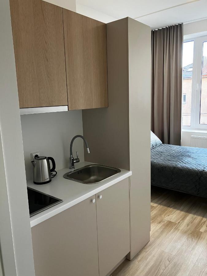 Ingos Laisves Al. Apartamentai Kaunas Kültér fotó