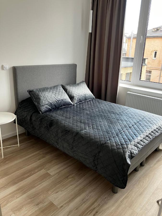 Ingos Laisves Al. Apartamentai Kaunas Kültér fotó
