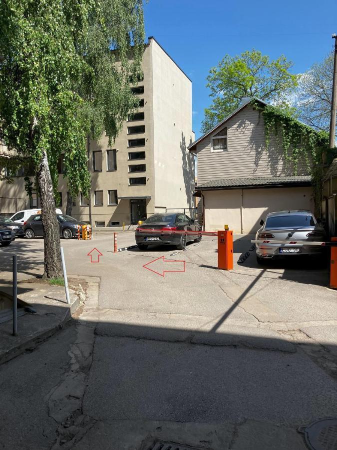 Ingos Laisves Al. Apartamentai Kaunas Kültér fotó